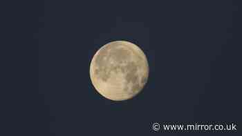 Exact day and time as 'best full moon of the year' arrives this week