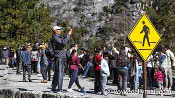 Yosemite visitors fume as 'moronic' change to booking system fuels horrendous 'crushing' crowds