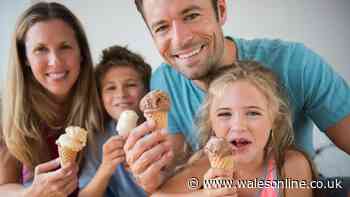 'Easy to use' 30-minute ice cream maker down to £29 in time for school holidays