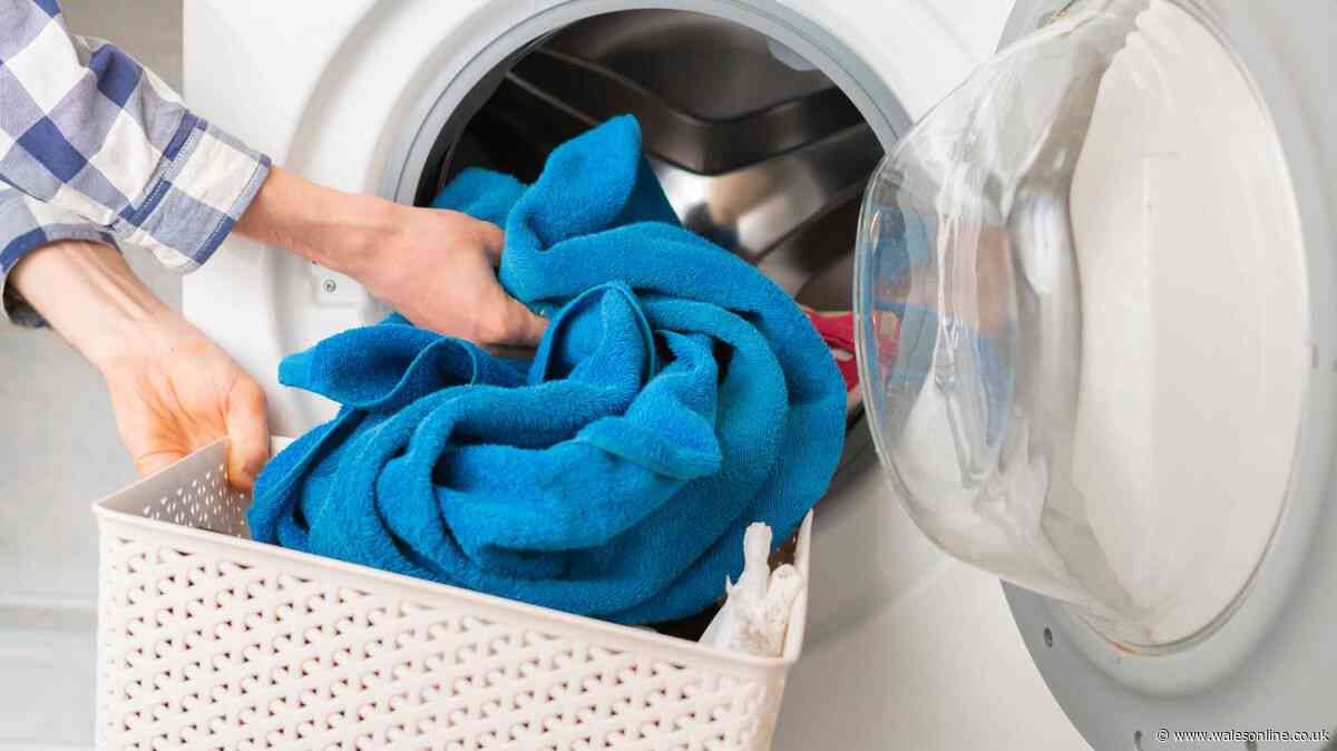Banish musty towel smells by covering them in 1 natural item before washing