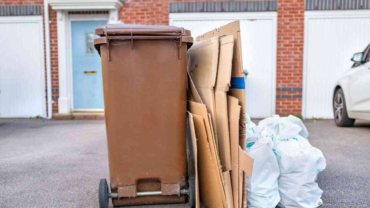 Binman shares if rubbish piled next to your bin will be collected