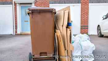 Binman shares if rubbish piled next to your bin will be collected
