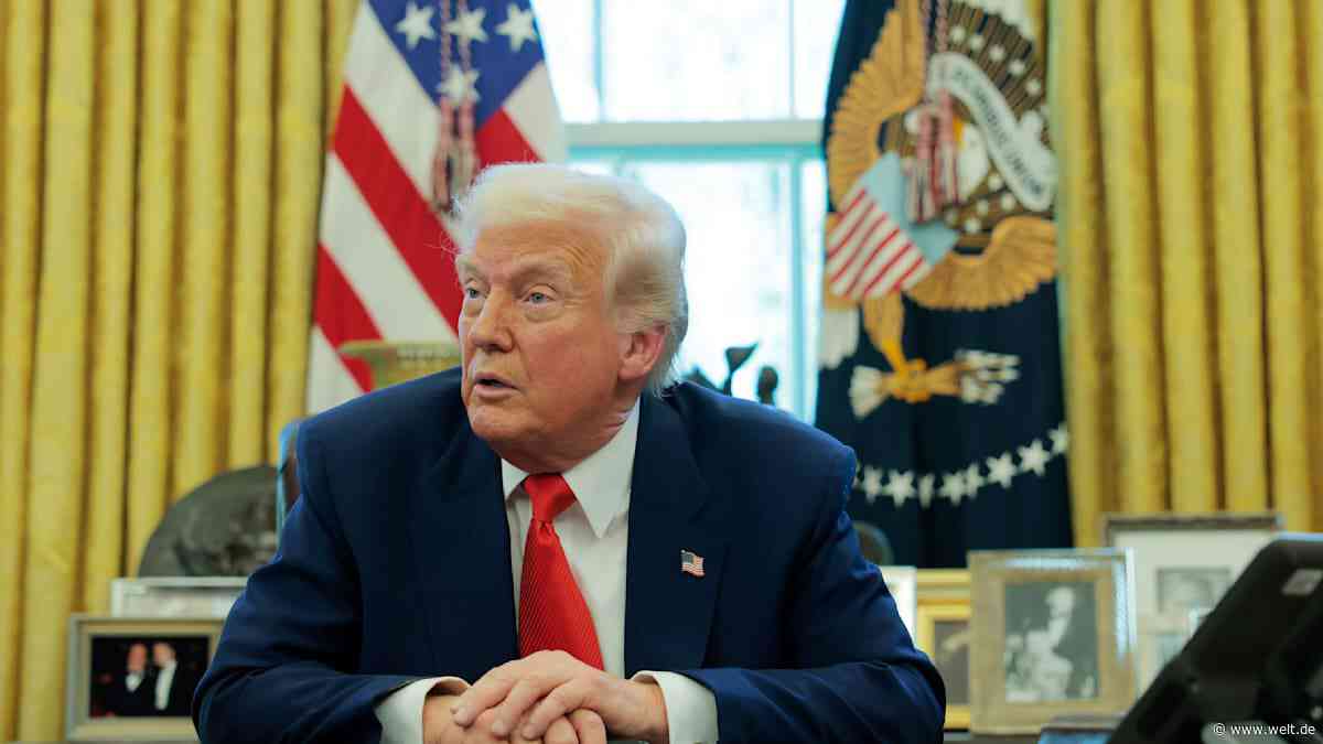 Das ist die vielleicht beste Idee, die Donald Trump je hatte