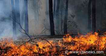 Wildfires in France and Spain force more than 267,000 to flee