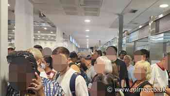 EasyJet passengers 'collapsing, given no water and forced to sleep outside' in 24 hours of 'chaos'