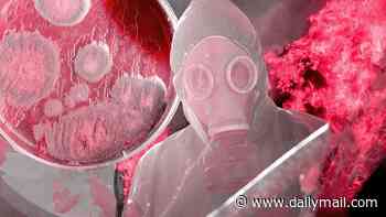 Hour by hour, how a genetically modified version of the Black Death would wipe out life across the world