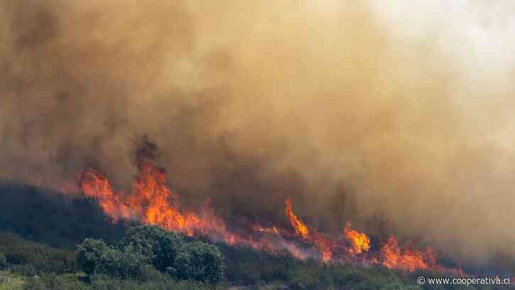 Incendios forestales en España: 73.000 evacuados y 25.000 hectáreas quemadas