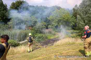 Gras en riet vatten vlam, brandweer rukt uit voor felle brand