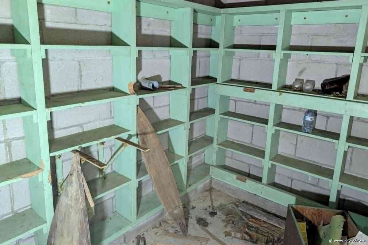 Birch bark and bomb shelters: post-storm discoveries