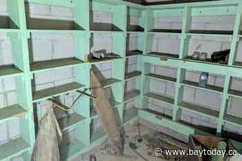 Birch bark and bomb shelters: post-storm discoveries