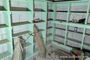 Birch bark and bomb shelters: post-storm discoveries