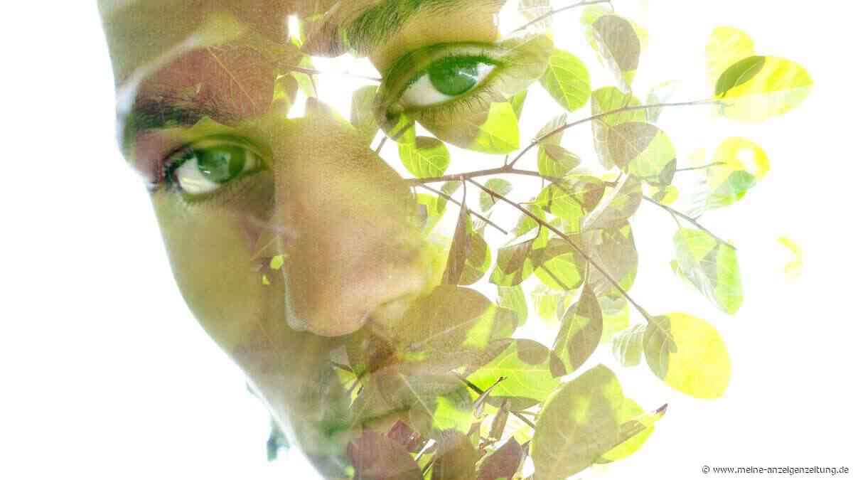 Dr. Lutz Graumann über Regeneration: Der unterschätzte Schlüssel zu mehr Energie