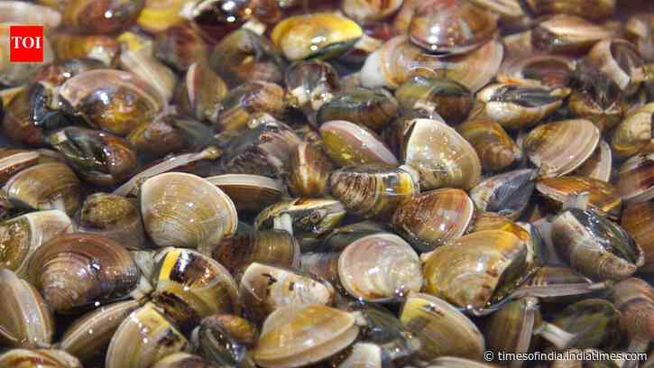 Zebra mussels spread across all Great Lakes within a decade of arriving in 1988