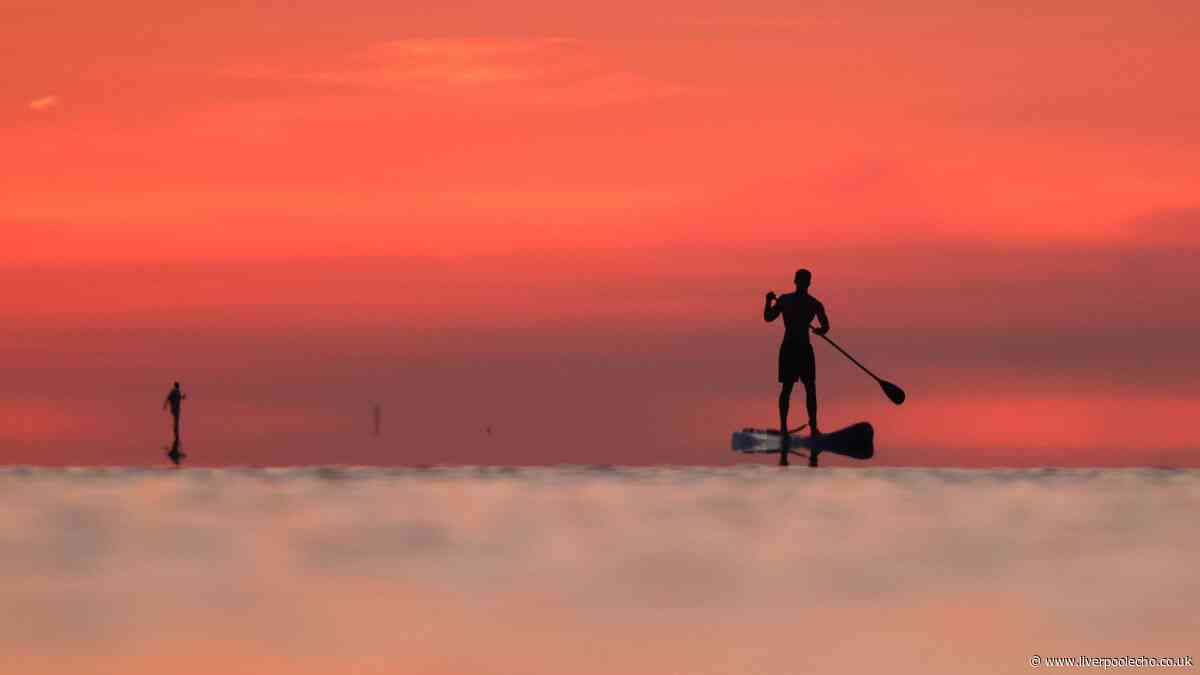 Met Office verdict on UK heatwave next week as temperatures rise