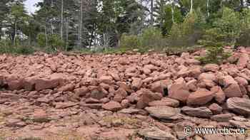 Some of P.E.I.'s oldest cemeteries are slowly being lost to the sea