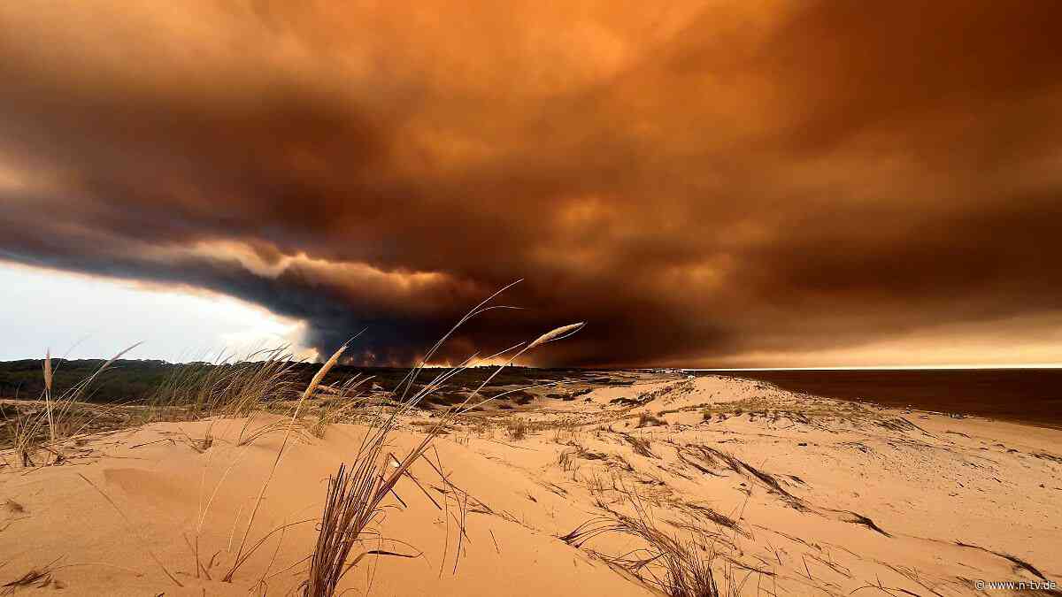"Beispielloses Ausmaß": Rauchwolken der Brände in Madrid und Bordeaux verbinden sich