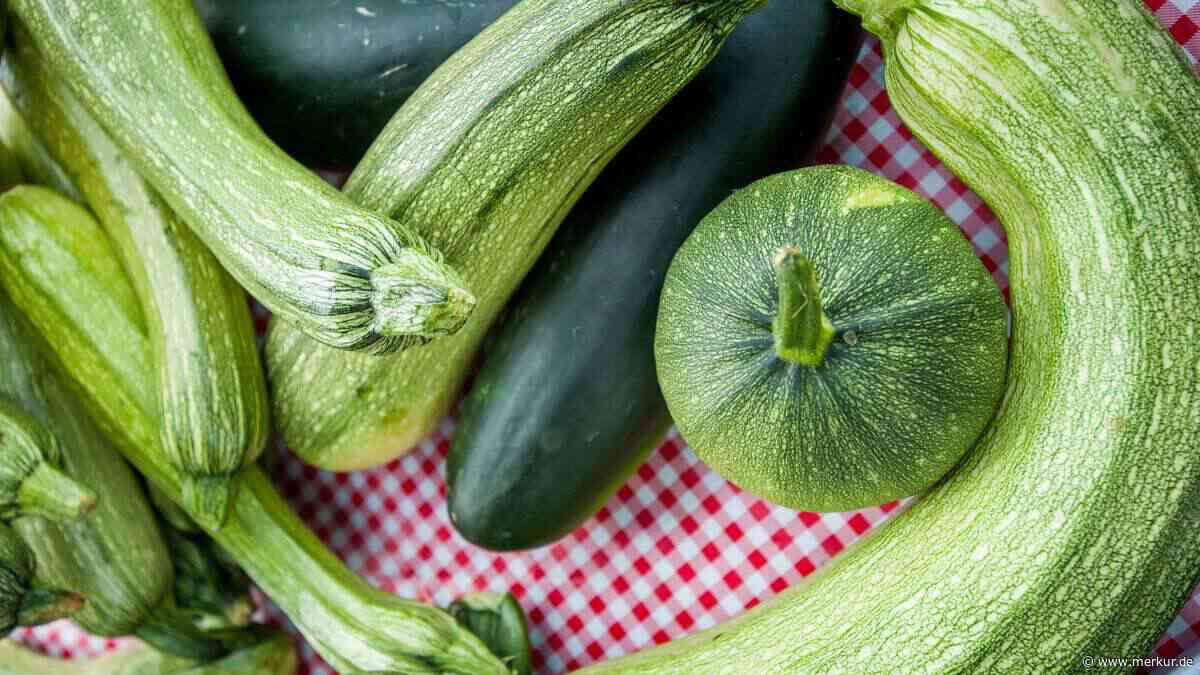 Zucchini lagern: Diesen Fehler machen viele – und das Gemüse wird ungenießbar