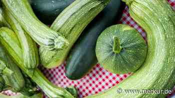 Zucchini lagern: Diesen Fehler machen viele – und das Gemüse wird ungenießbar