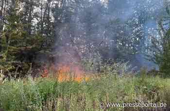 FW-DO: Vegetationsbrand im Bereich der Brackeler Straße