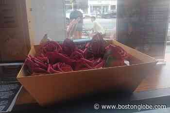 Boston Symphony Cracks Down On People Distributing Red Flowers At Tanglewood