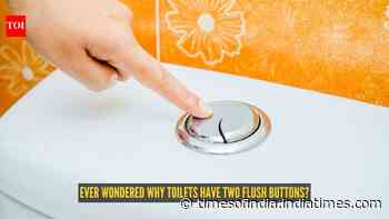 Ever wondered why toilets have two flush buttons? Here's what each one actually does