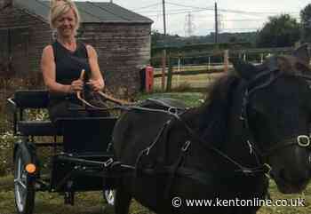 Delight as stolen miniature horses are found