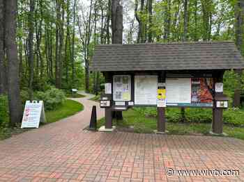 Along 4 the Hike: Reinstein Woods/Parks Adventure Bus