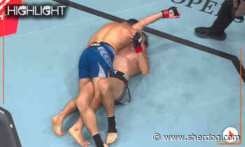 UFC Abu Dhabi highlight video: Abdul Hussein arm-triangle chokes Cody Gibson