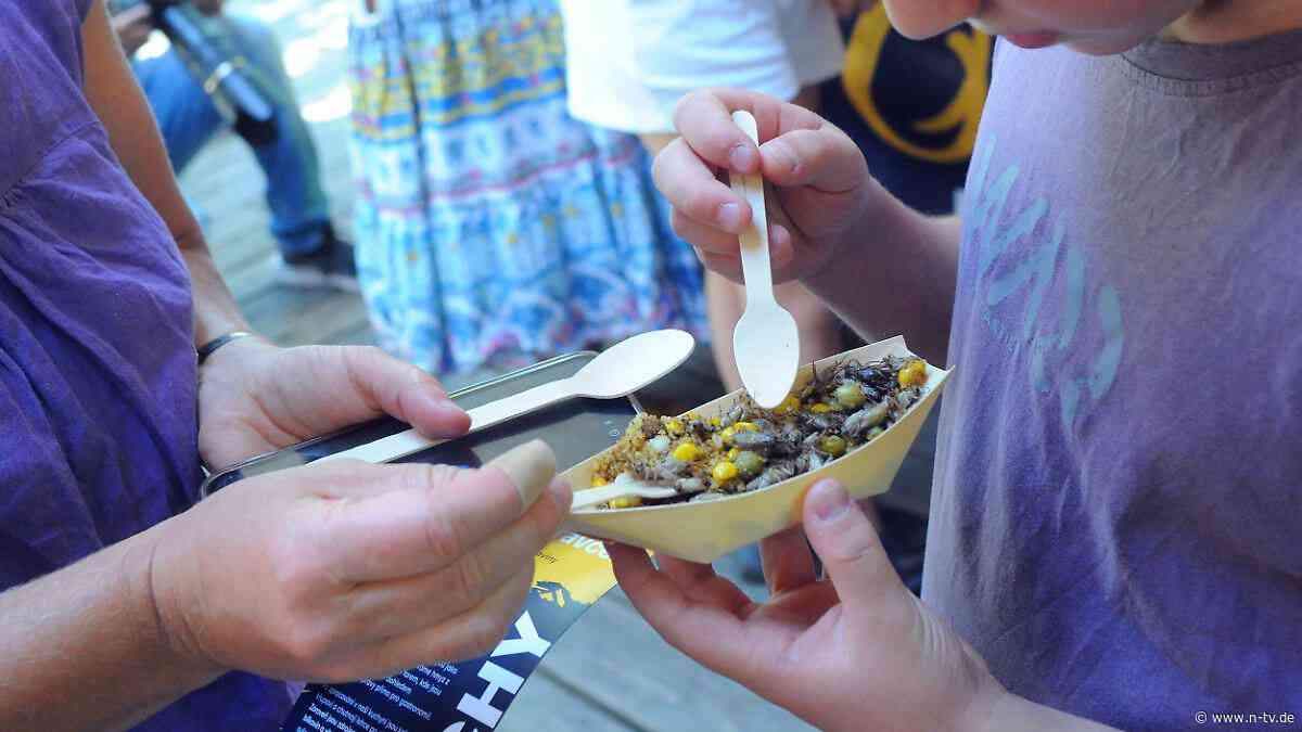 Grillen grillen: Prager Zoo lädt zum "Wochenende der Insektenfresser"