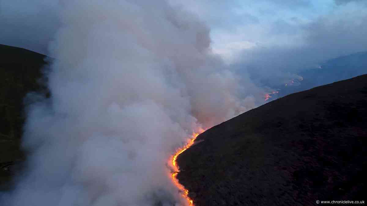 Residents told 'leave your pets and go' as 'apocalyptic' wildfire rages out of control