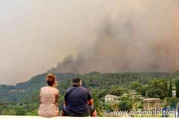 Risque incendie « très sévère » : fermeture totale des massifs forestiers du Var ce dimanche