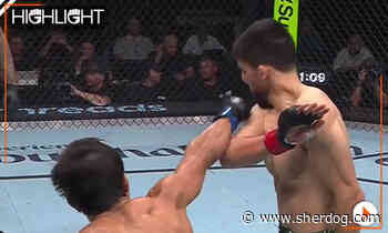 UFC Abu Dhabi highlight video: Ramazonbek Temirov demolishes Steve Erceg