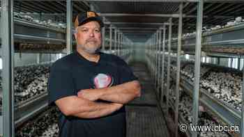 Mushroom farmers concerned about U.S. tariffs, market shares