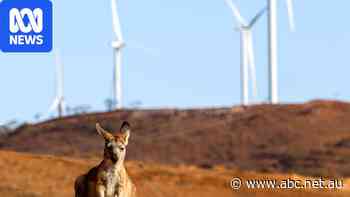 Clean energy investment is facing headwinds. Could superannuation help?