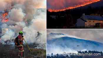First Minister bows to pressure and asks the military for help as an out-of-control wildfire rages in the Highlands
