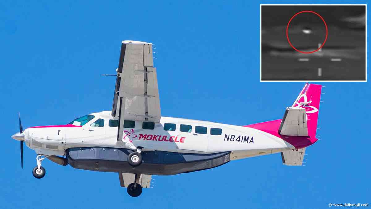 Mysterious white object that 'popped through the clouds' forces pilots to swerve midair: 'It scared the hell out of me'