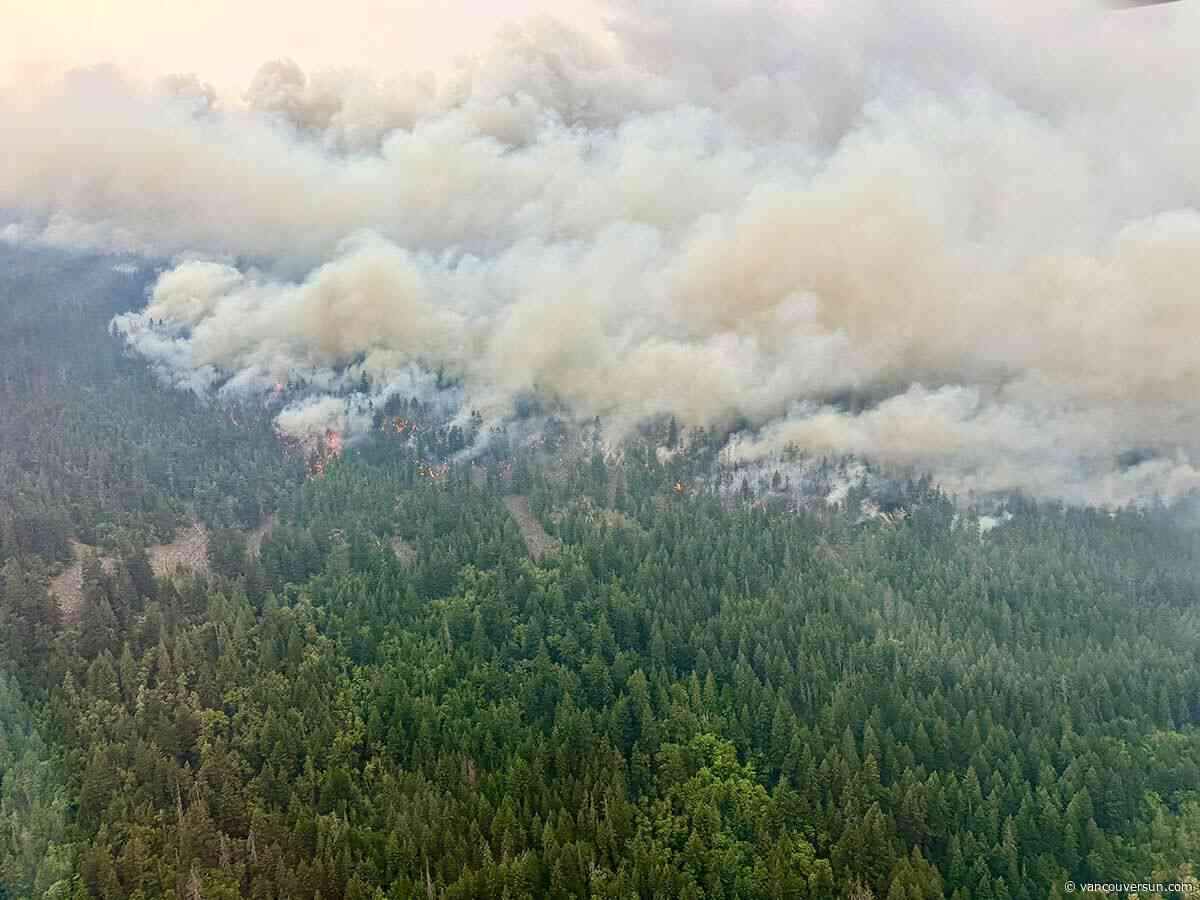 Are your lights flickering? B.C. Hydro says ash from wildfires affecting power
