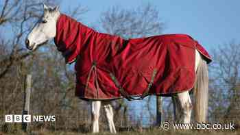 Plans for horse laundry facility at farm approved