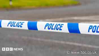 Elderly man dies after fall from electric bike