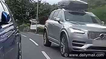 Cyclist who sent THIS video to police to complain about bad driving is fined £1,200 for his own bad riding