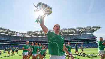 TOM RYAN: God save hurling... I nearly puked up my dinner watching RTÉ pundits talk about 'systems'. Galway were a shambles, Limerick should have won by 30