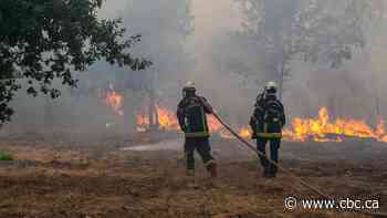 Final stage of Tour de France shortened to redeploy officers to wildfires as 250,000 flee France, Spain