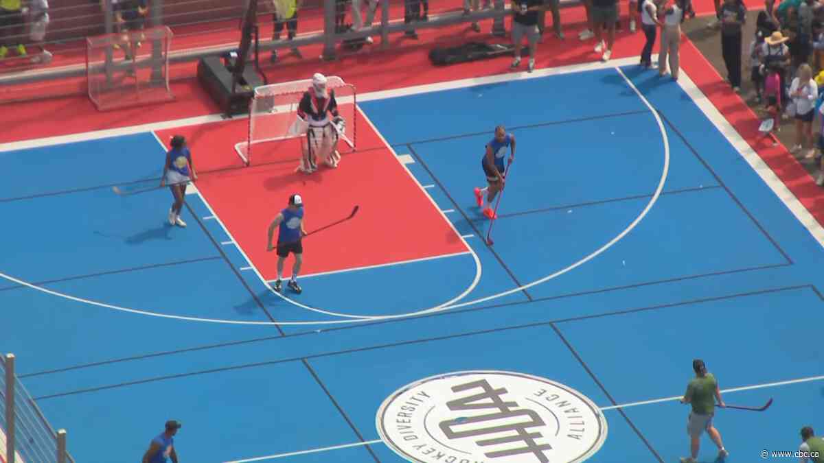 NHL, NFL players join youth at event to promote diverse access to hockey