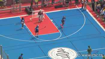 NHL, NFL players join youth at event to promote diverse access to hockey