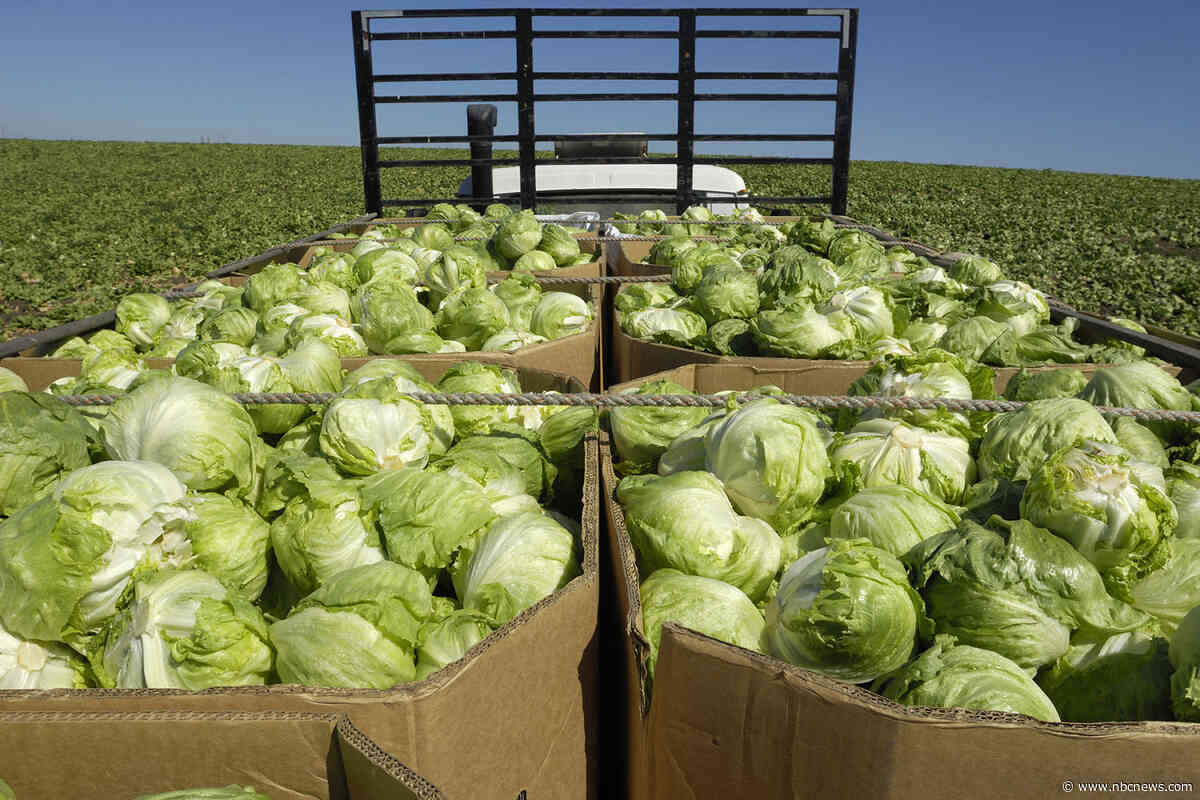 Cyclosporiasis outbreak expands to 9 states