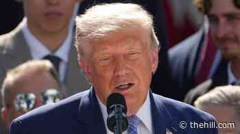 Trump tariffs come back to haunt GOP as elections near