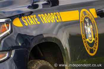Driver, 72, killed after her car crashed into a horse