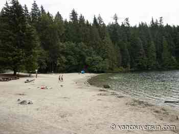 Bystander injured trying to break up fight at Sasamat Lake