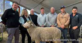 Sale of three WA rams "an amazing few days at Bendigo" says stud owner