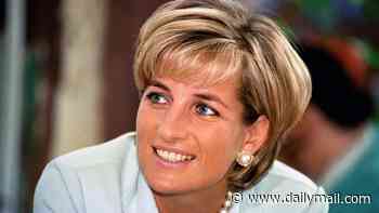 Will Harry and William call a truce and both attend tribute event to mark 30th anniversary of Diana's death?